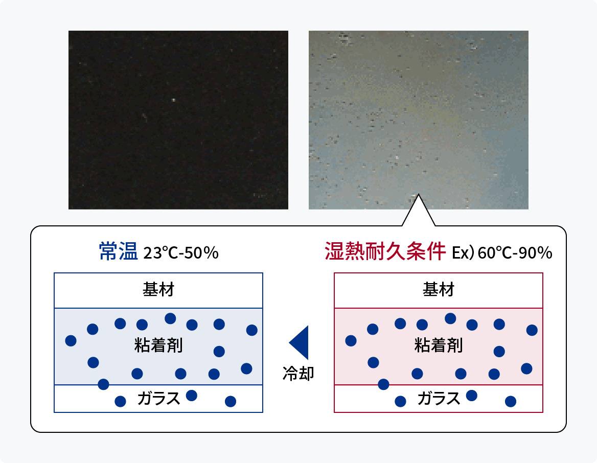湿熱白化試験