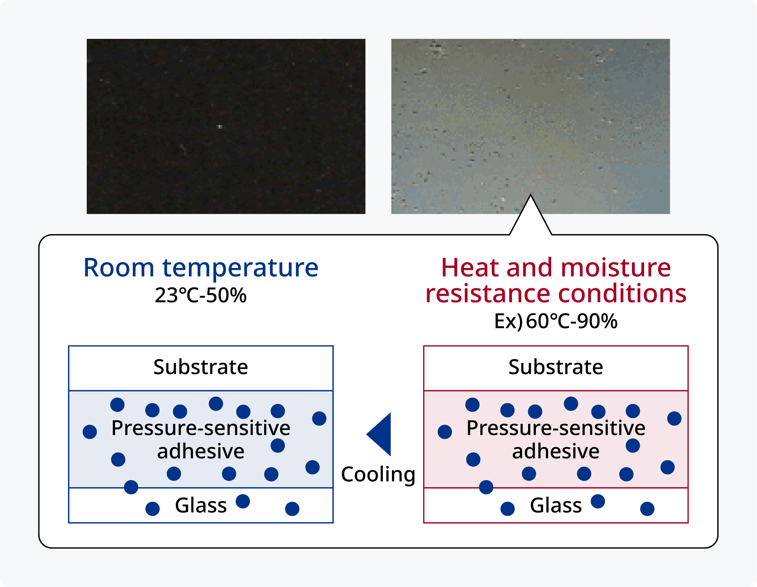 Heat and Humidity Whitening Test