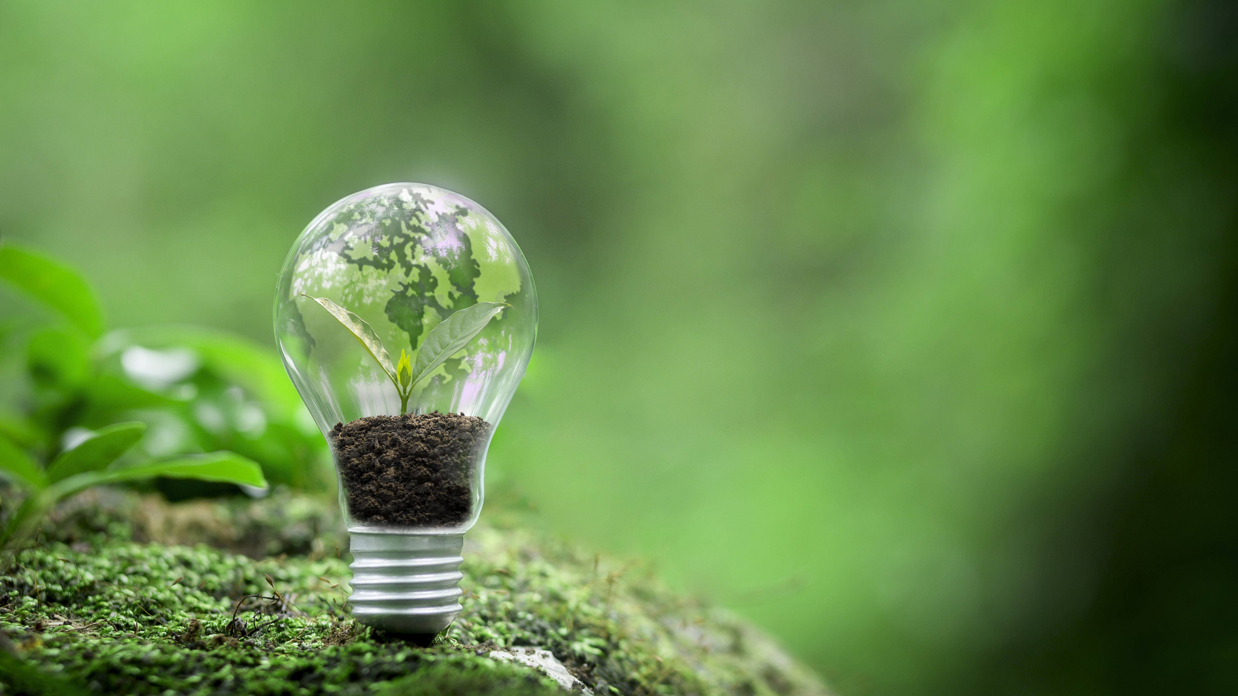 Energy and the Environment